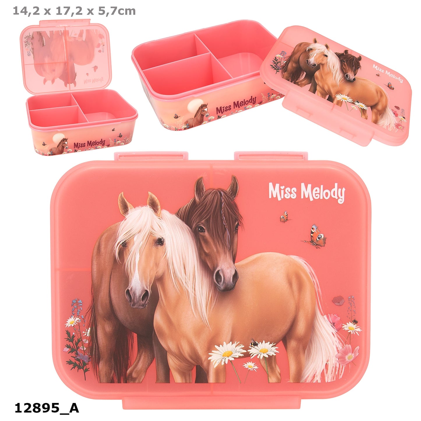 Miss Melody Lunch Box