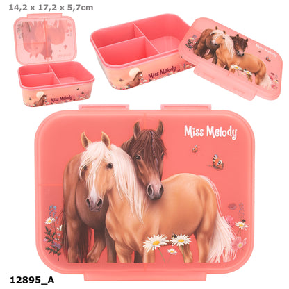 Miss Melody Lunch Box