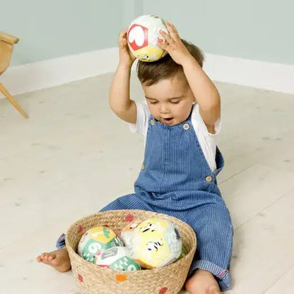 Little Big Friends Educative Farm ball
