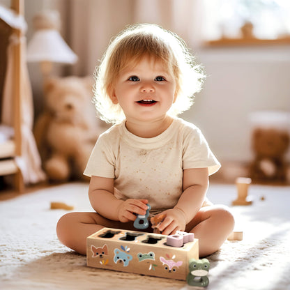 Speedy Monkey FSC Wooden Shape Sorter Box Educational Toy