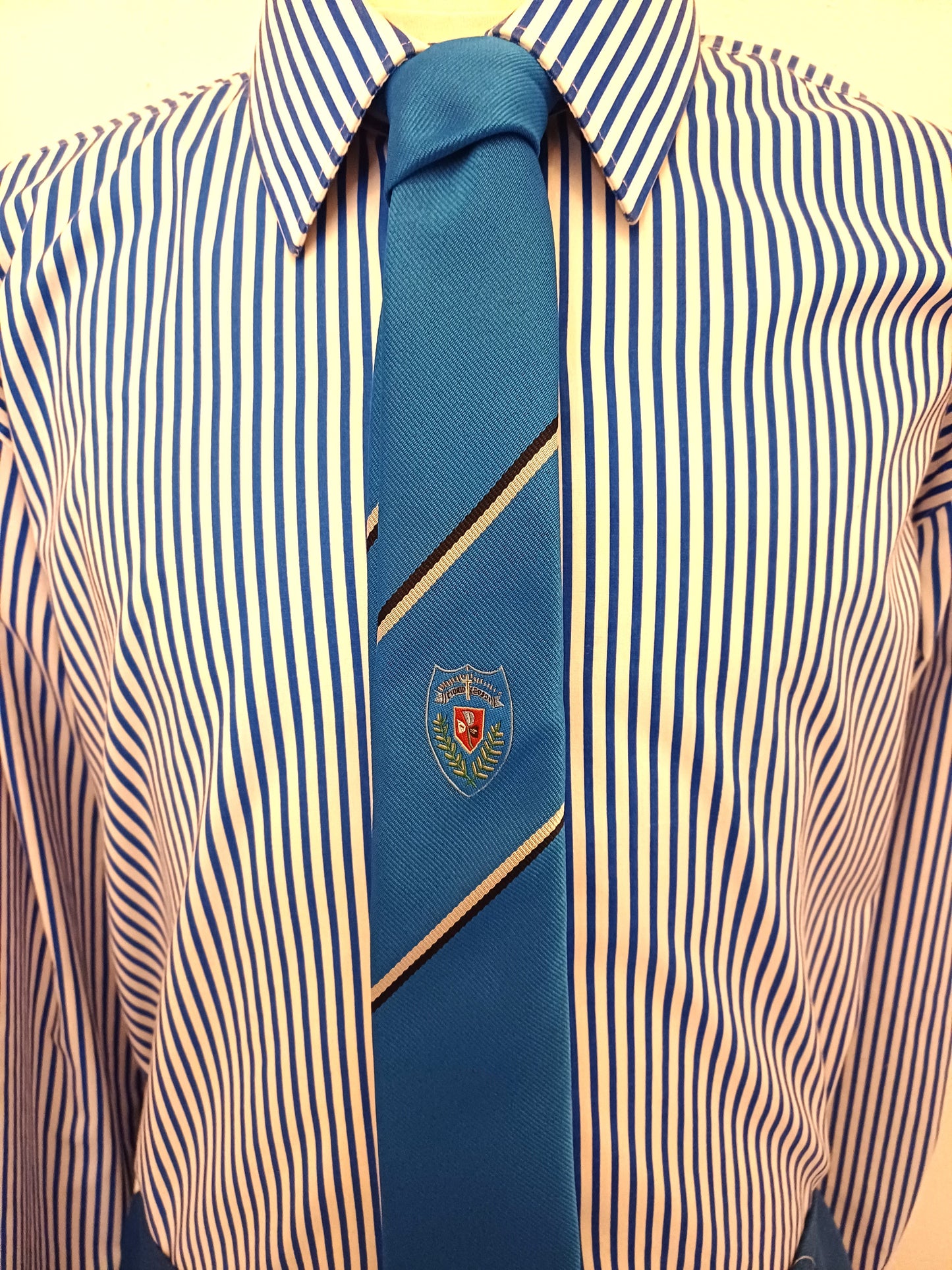 St Mary's Grammar Girls Y11-Y12 52" Tie