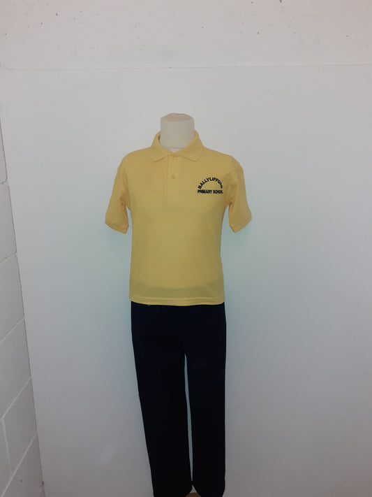 Ballylifford Primary School - Polo