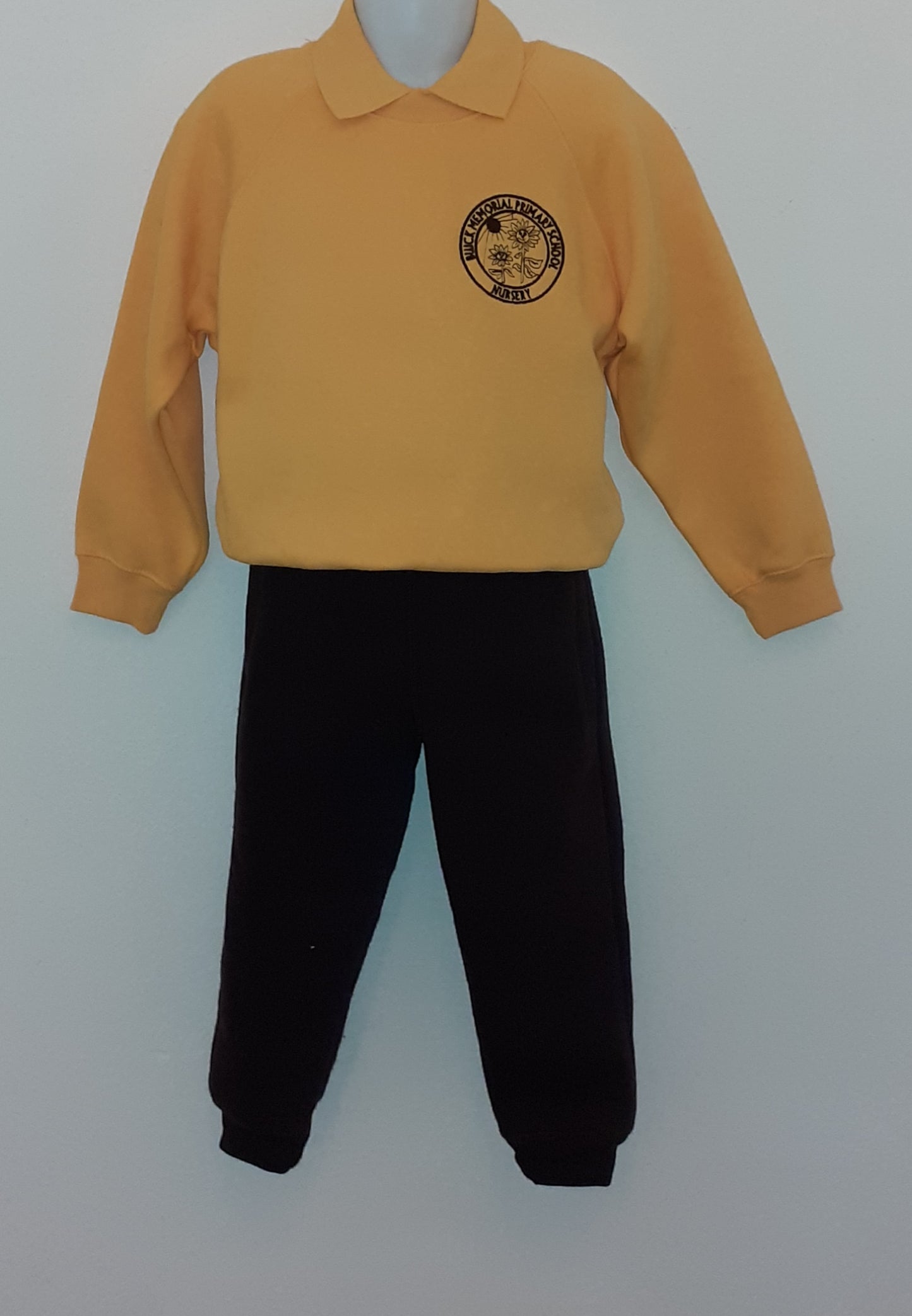 Buick Memorial Primary School - Nursery Unit