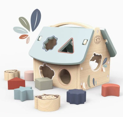 House Shape Sorter with Blocks