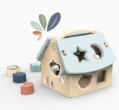 House Shape Sorter with Blocks