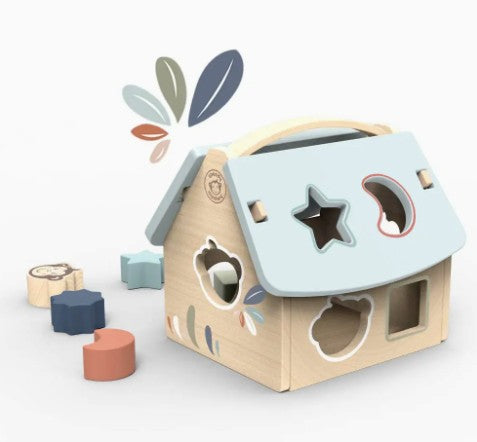 House Shape Sorter with Blocks