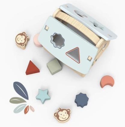 House Shape Sorter with Blocks