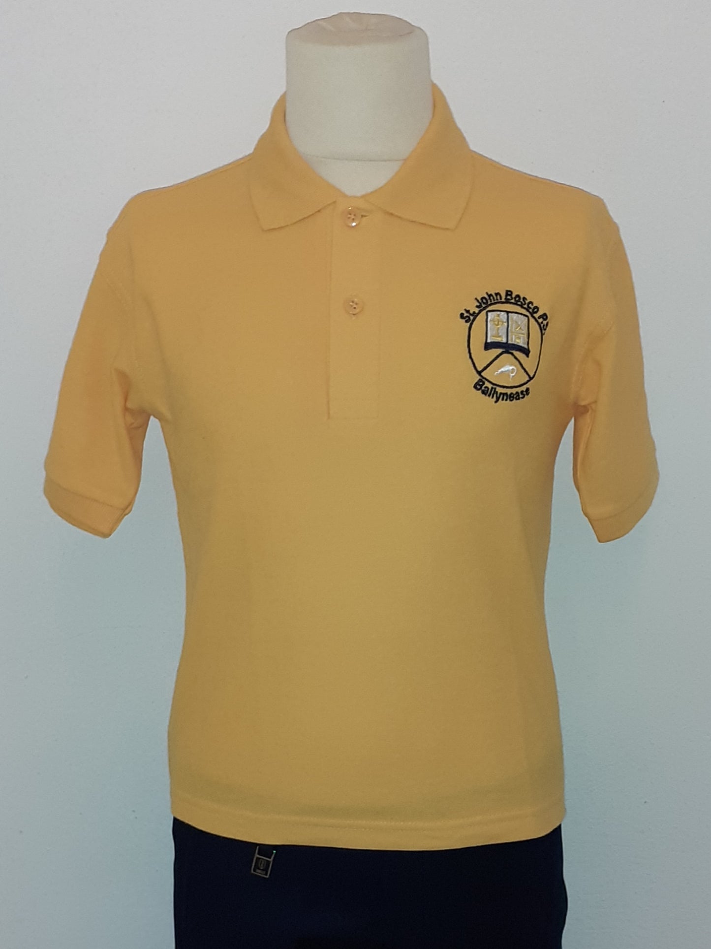 St John Bosco, Ballynease - Polo