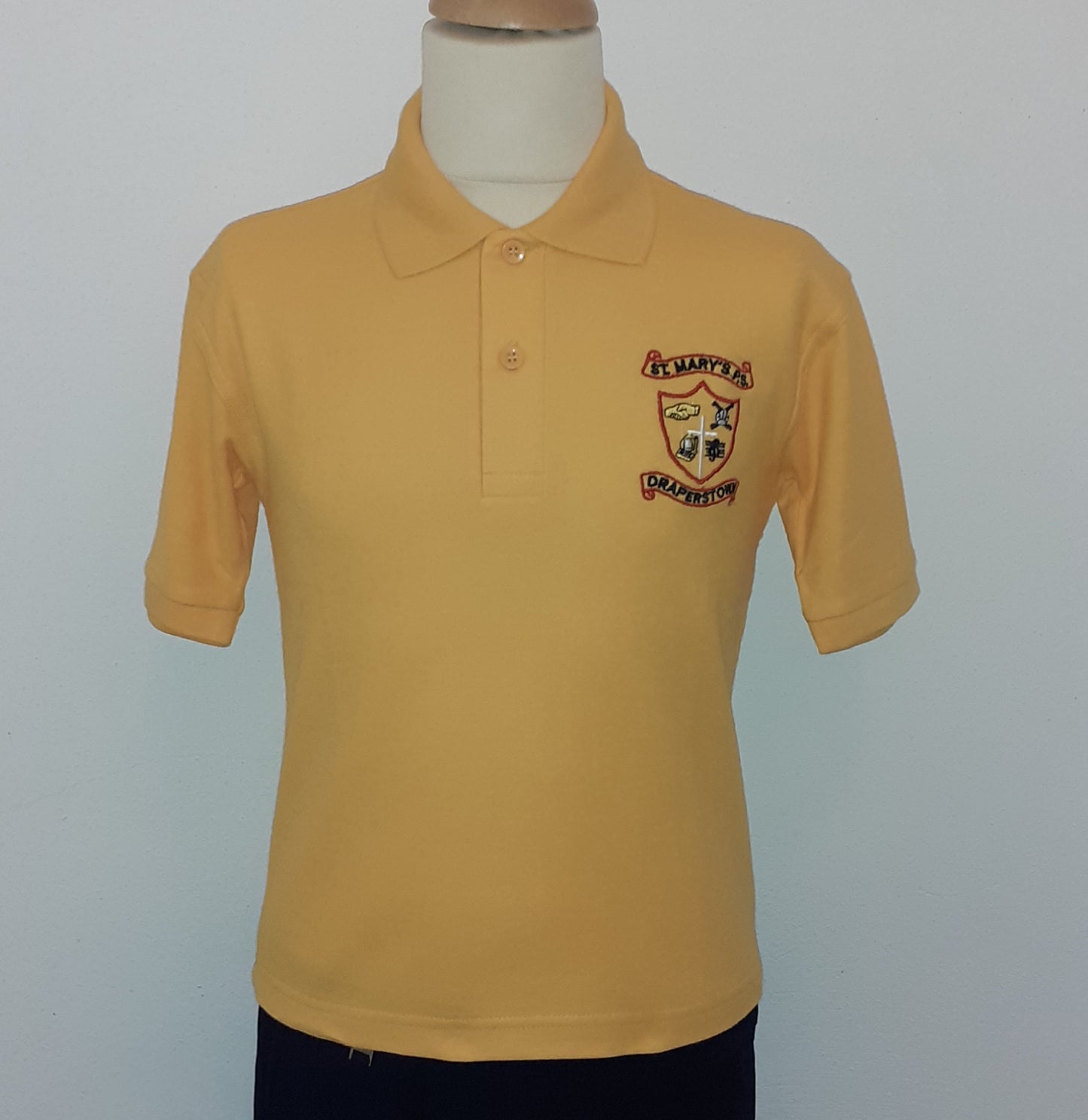 St Mary's, Draperstown - Polo