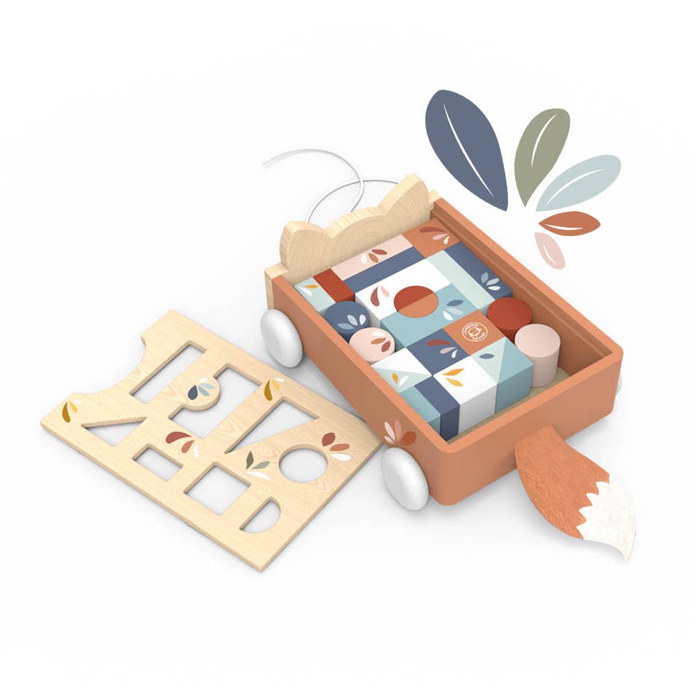 Wooden toy with geometric shapes and a box on a white background