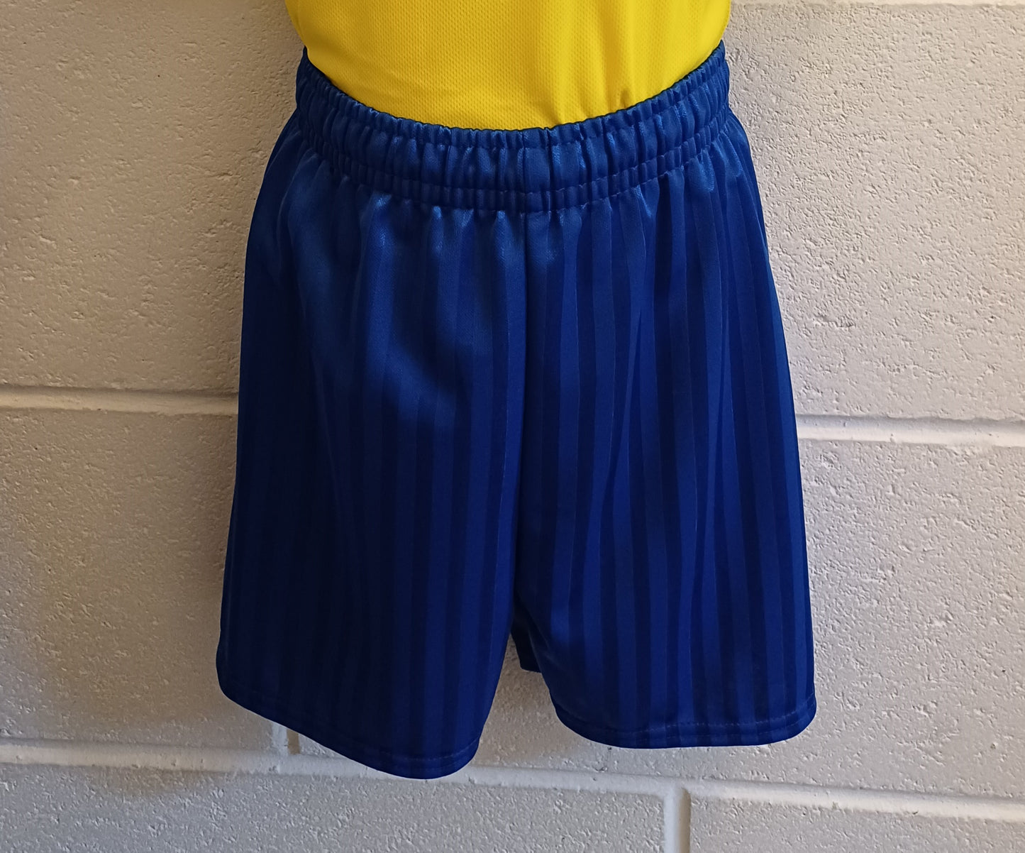 Shadow Striped Royal Shorts